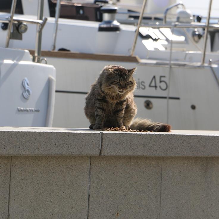 Yachting lifestyle snapshot
